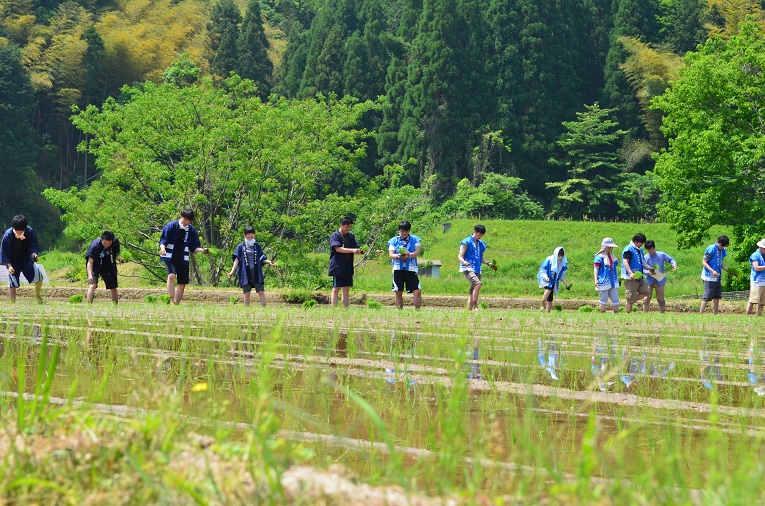 上代　田植え